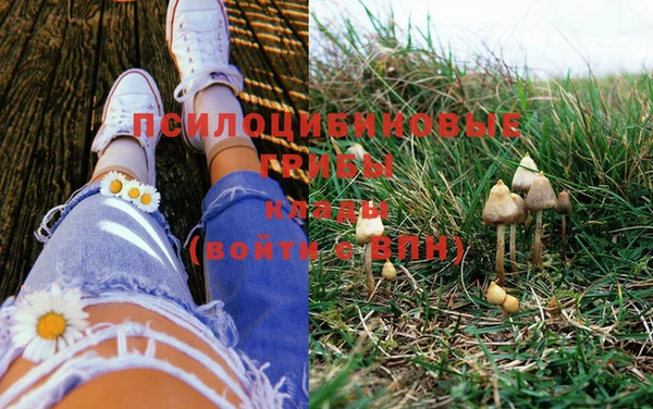 марки lsd Алексеевка