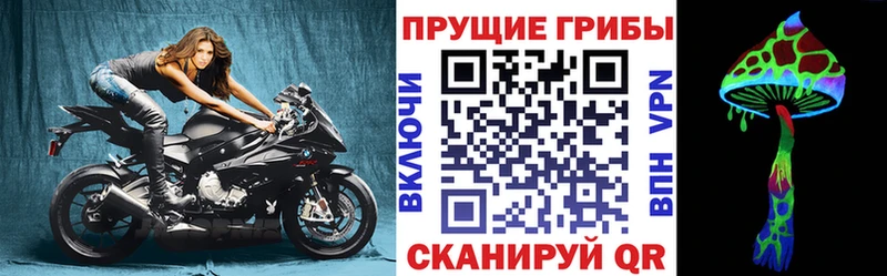 Псилоцибиновые грибы Cubensis купить сайты Октябрьск