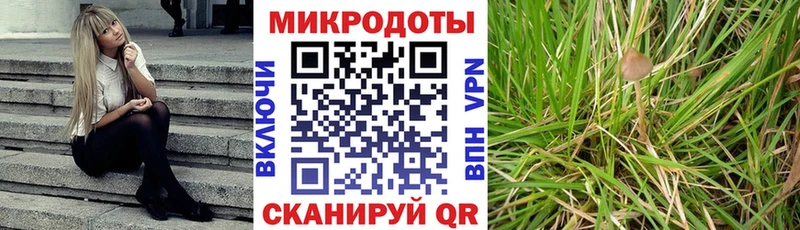 Галлюциногенные грибы ЛСД Октябрьск