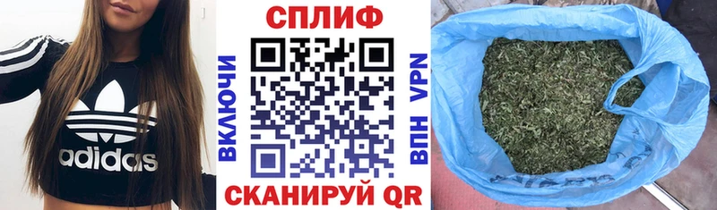 дарнет шоп  Октябрьск  Марихуана сатива 